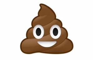 poop emoji